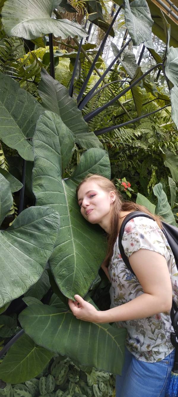 Becca resting against a giant Alocasia leaf in a botanical glasshouse